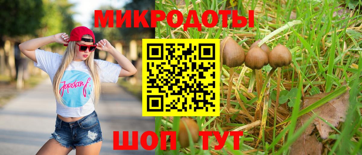 Псилоцибиновые грибы Psilocybe  Вход с VPN  Люберцы  купить наркотик  Псилоцибиновые грибы Magic Shrooms 